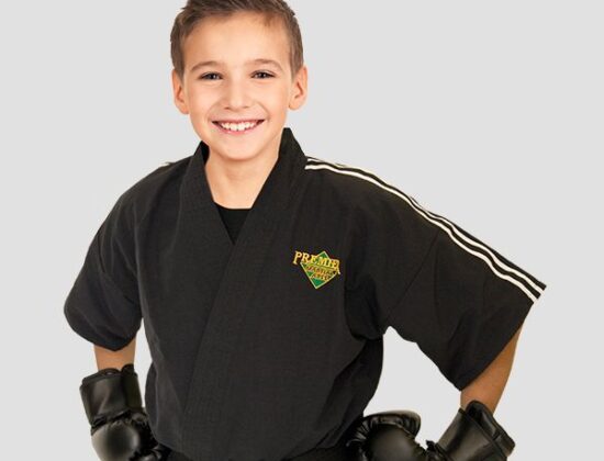 Premier Martial Arts for Kids and Adults - Camps and Workshops