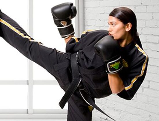 Premier Martial Arts for Kids and Adults - Camps and Workshops
